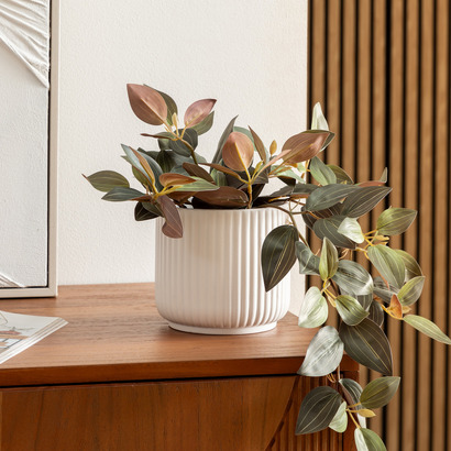 Cache-pot Nuria Plantes, vases Pots de fleurs