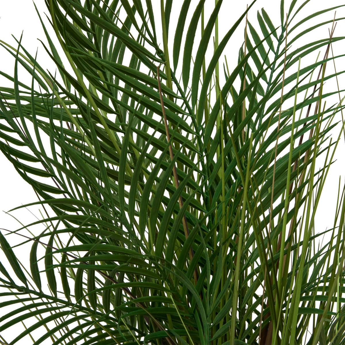Palmier artificiel en pot Wonj Plantes, vases Plantes artificielles