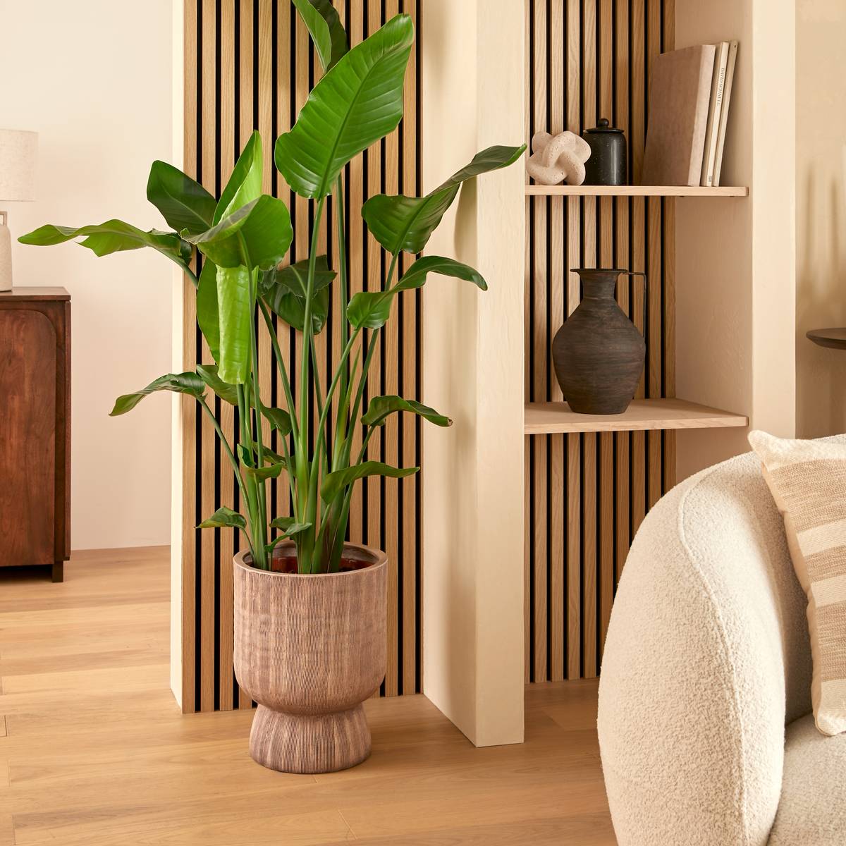 Cache-pot Romia Plantes, vases Pots de fleurs