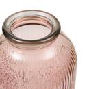 Vase Luz Plantes, vases Vases