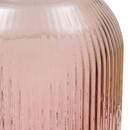 Vase Luz Plantes, vases Vases