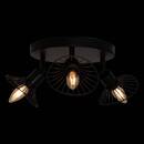 Plafonnier Adelia Suspensions Appliques murales