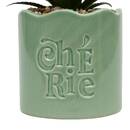Plante artificielle en pot Cheri Plantes, vases Plantes artificielles