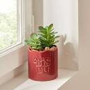 Plante artificielle en pot Cheri Plantes, vases Plantes artificielles
