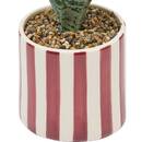 Plante artificielle en pot Cheri Plantes, vases Plantes artificielles