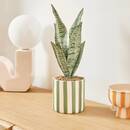 Plante artificielle en pot Cheri Plantes, vases Plantes artificielles
