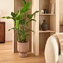 Cache-pot Romia Plantes, vases Pots de fleurs