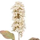 Fleur artificielle Fria Plantes, vases Fleurs artificielles