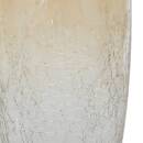 Vase Alexis Plantes, vases Vases