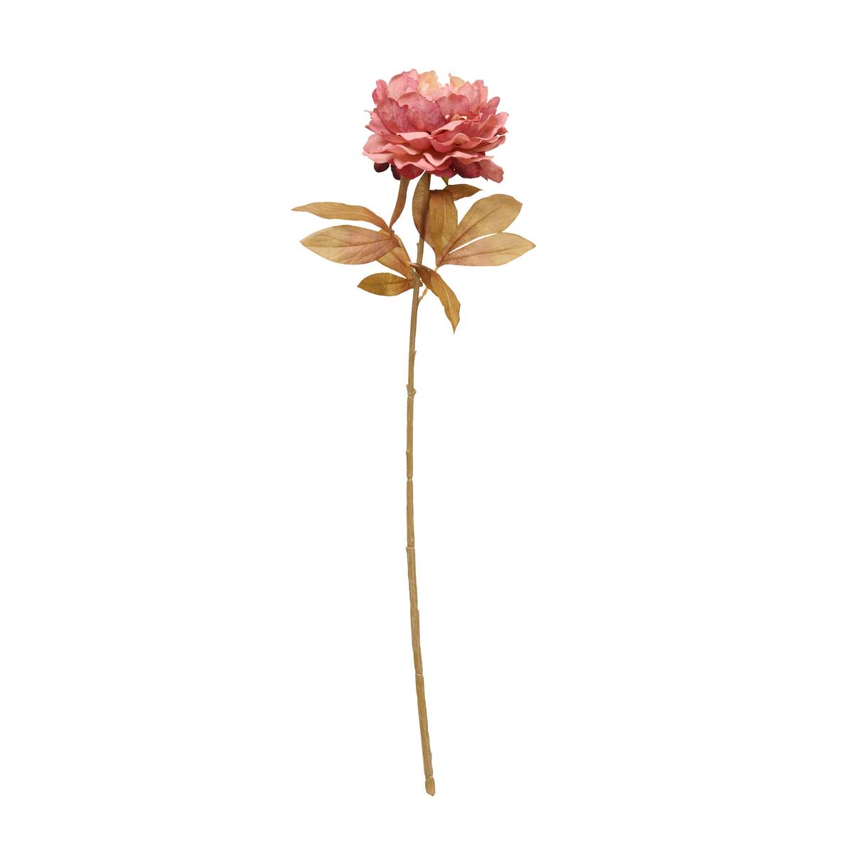Fleur artificielle Fria Plantes, vases Fleurs artificielles