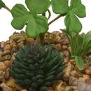 Terrarium Wilo Plantes, vases Plantes artificielles