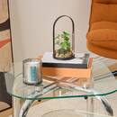 Terrarium Wilo Plantes, vases Plantes artificielles