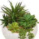 Plante artificielle en pot Jesy Plantes, vases Plantes artificielles