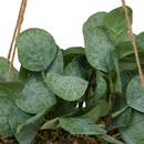 Plante artificelle suspendue Cheri Plantes, vases Plantes artificielles